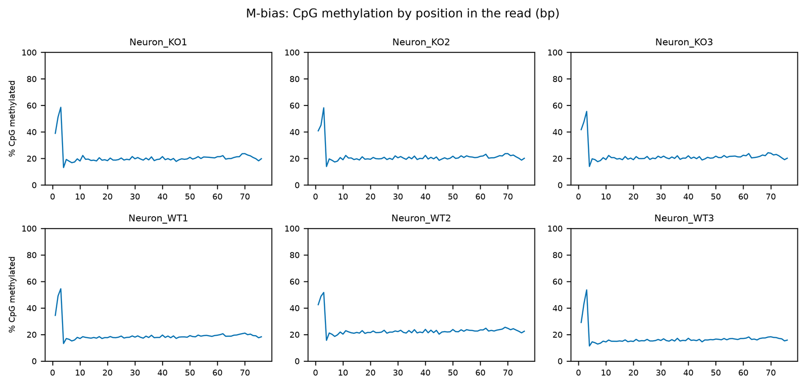 Six small line plots, one per sample, of percent CpG methylation against read position from 1 to 76. Each starts at 29–43 %, rises to 52–58 % at position 3, drops to about 11–16 % at position 4, and then stays flat between about 13 and 25 % to the end of the read.