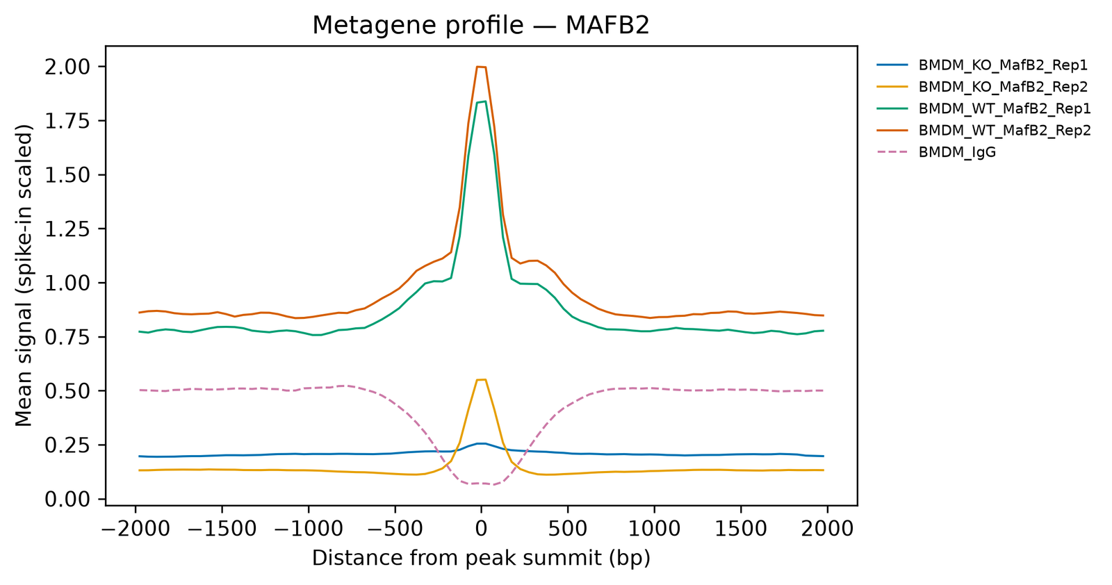 Line plot of mean spike-in scaled signal against distance from the peak summit, from −2,000 to +2,000 bp. The two control replicates rise from about 0.8 at the flanks to 1.8 and 2.0 at the summit. The sample without MafB rep 1 stays flat near 0.2; rep 2 has a small peak of 0.55 at the summit. The dashed IgG line is flat at 0.5 on the flanks but falls to about 0.07 at the summit.