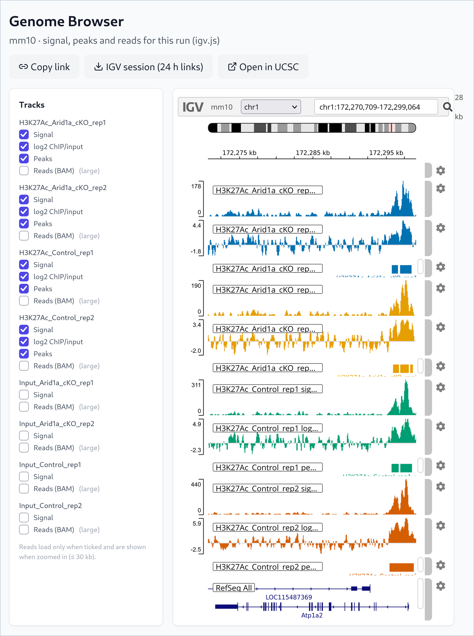 The Genome Browser page. On the left, a list of tracks with check boxes. On the right, igv.js shows chr1:172,270,709-172,299,064 in mm10. For each of the four H3K27ac libraries there is a signal track, a log2 ChIP/input track and a peaks track. The signal tracks reach 178 and 190 in the knockout libraries and 311 and 440 in the control libraries, with strong signal at the right end of the region. The bottom track shows the genes LOC115487369 and Atp1a2.