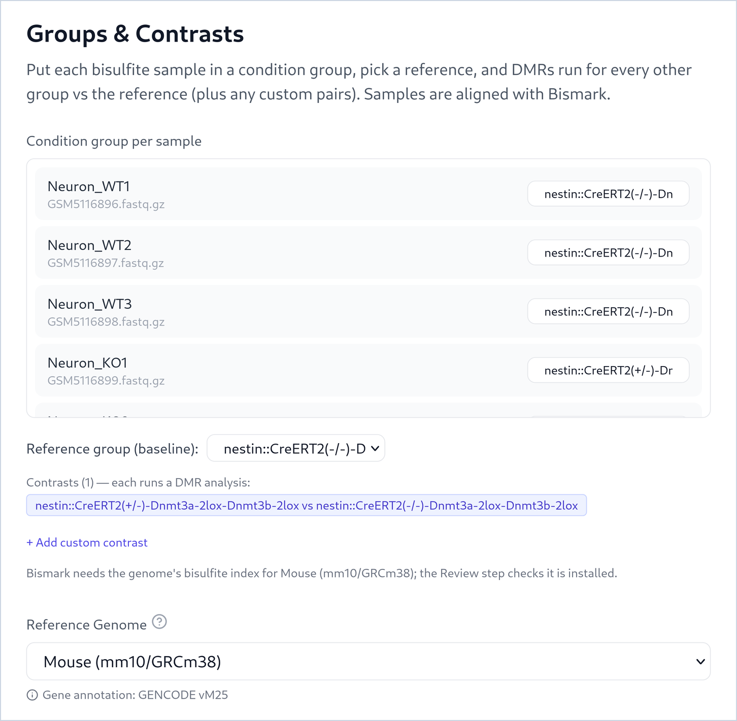 The Groups and Contrasts step: Neuron_WT1, WT2 and WT3 in group nestin::CreERT2(-/-)-Dn…, Neuron_KO1 in group nestin::CreERT2(+/-)-Dn…, the reference group set to the (-/-) group, one contrast nestin::CreERT2(+/-)-Dnmt3a-2lox-Dnmt3b-2lox versus nestin::CreERT2(-/-)-Dnmt3a-2lox-Dnmt3b-2lox, and Reference Genome Mouse (mm10/GRCm38) with gene annotation GENCODE vM25.